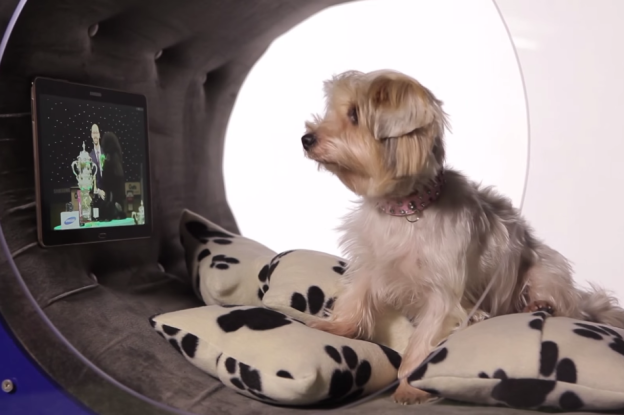 photo of Video: This is Samsung’s $30,000 luxury doghouse image