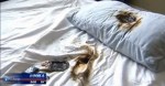 %name Galaxy S4 bursts into flames under sleeping 13 year old girl’s pillow by Authcom, Nova Scotia\s Internet and Computing Solutions Provider in Kentville, Annapolis Valley