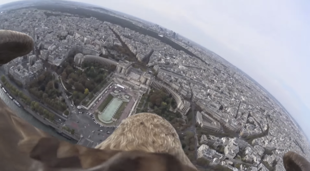 %name This Sony Action Cam video of an eagle soaring over Paris is the most incredible thing you’ll see all day by Authcom, Nova Scotia\s Internet and Computing Solutions Provider in Kentville, Annapolis Valley